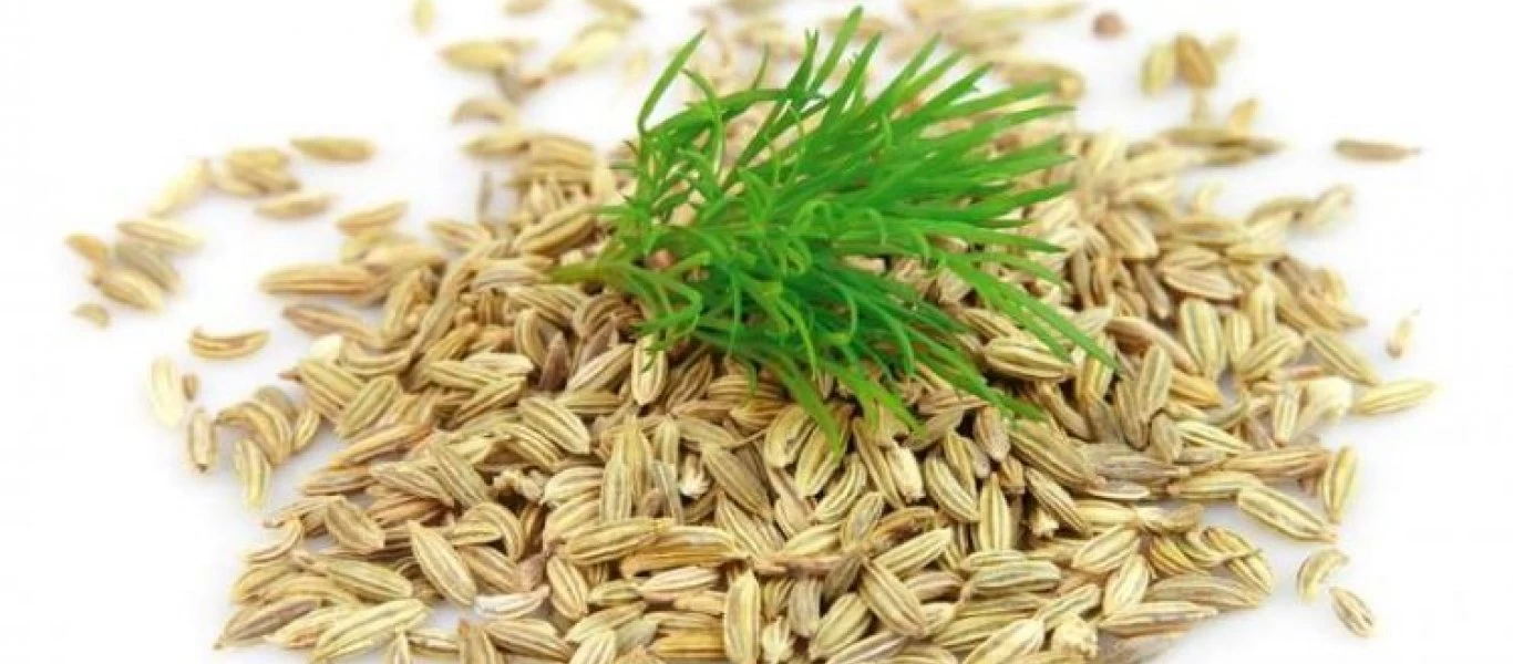 Το φάρμακο για τη δυσπεψία από τους αρχαίους χρόνους